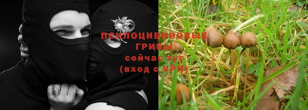 а пвп мука Володарск