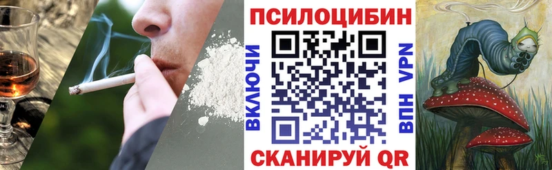 Купить закладки  Краснознаменск  Галлюциногенные грибы Cubensis 